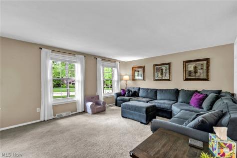 16561 N White Oaks Drive Strongsville OH 44136