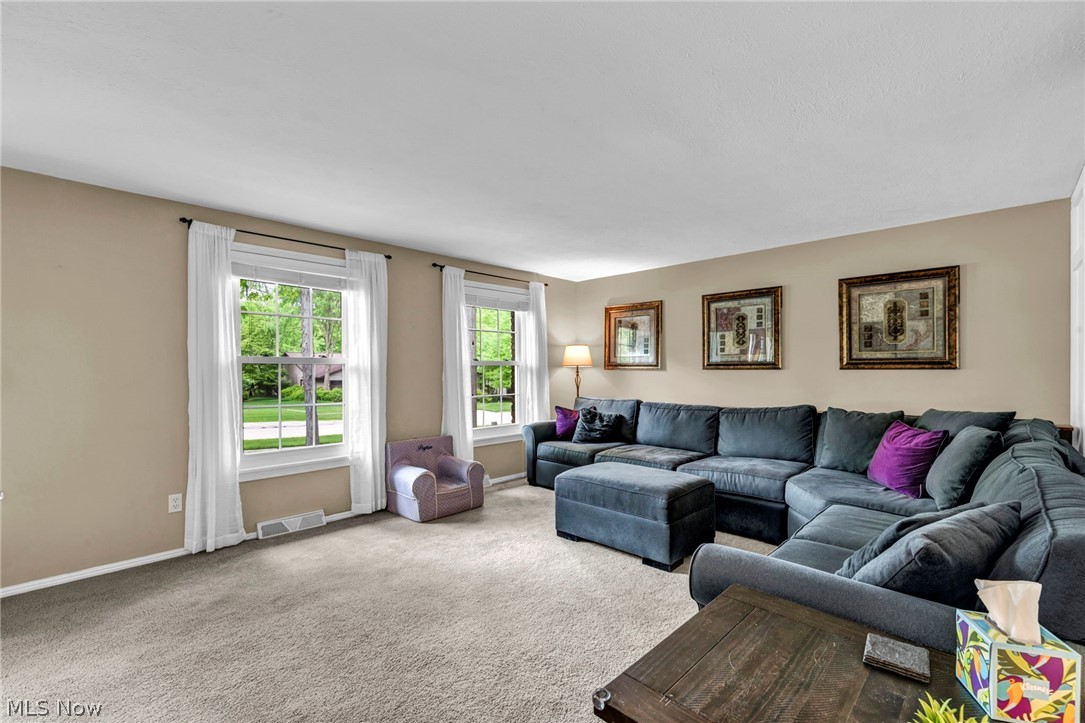 16561 N White Oaks Drive Strongsville OH 44136