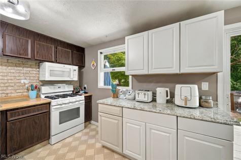 1035 Burntwood Drive Medina OH 44256
