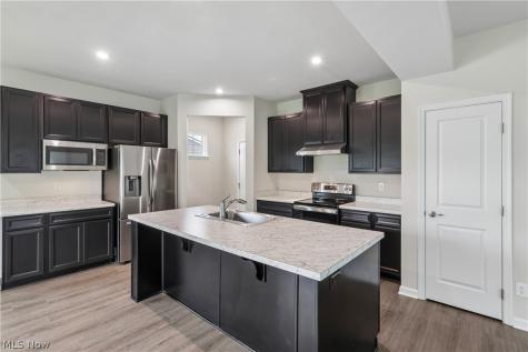 1594 Slick Rock Drive Painesville OH 44077