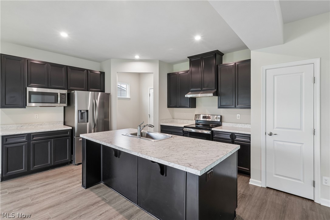 1594 Slick Rock Drive Painesville OH 44077
