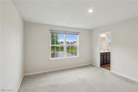 1594 Slick Rock Drive Painesville OH 44077