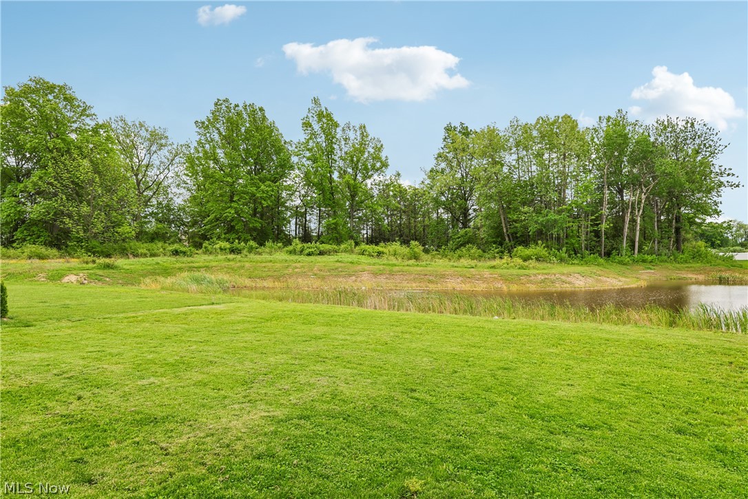 1594 Slick Rock Drive Painesville OH 44077