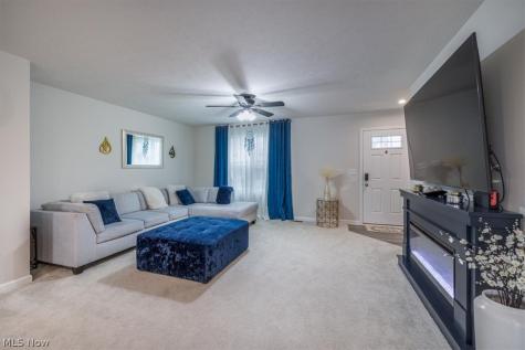 4784 Olivia Way Lorain OH 44053