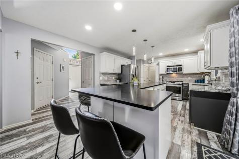 3561 Beaumont Drive Brunswick OH 44212