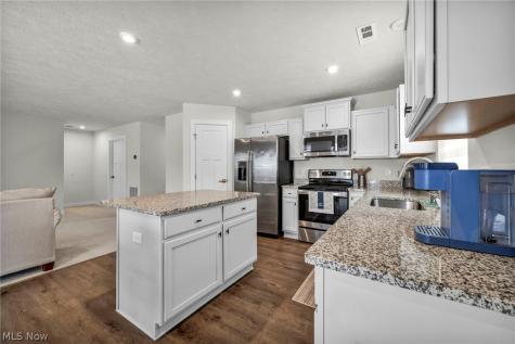 141 W Spring Drive Elyria OH 44035