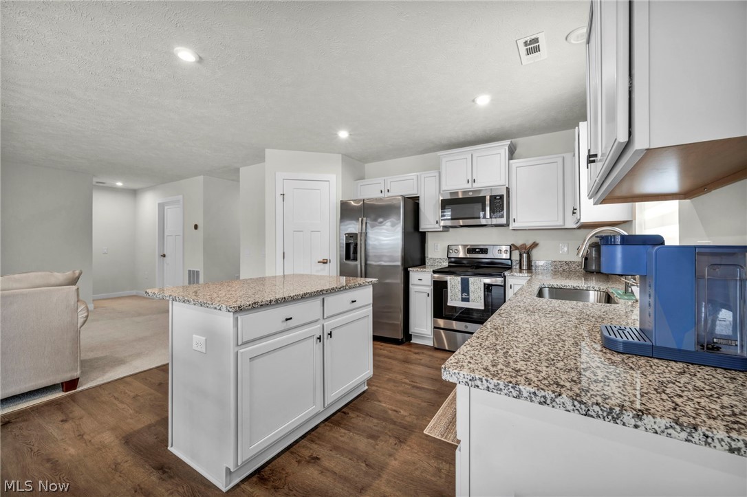 141 W Spring Drive Elyria OH 44035