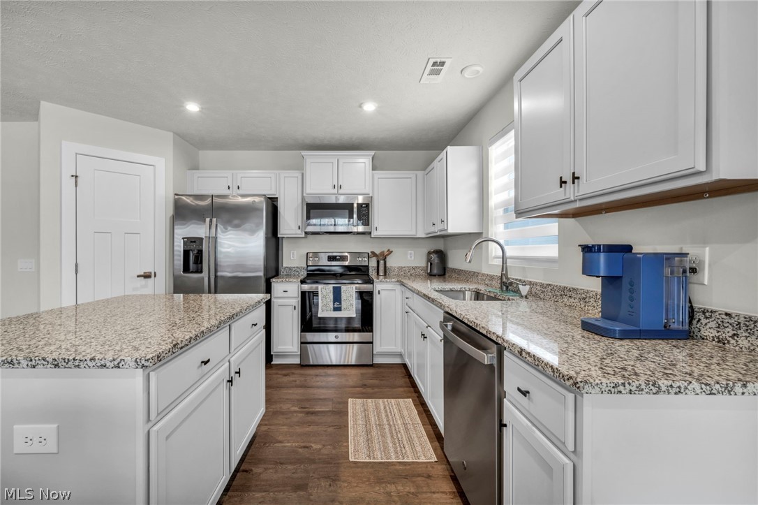 141 W Spring Drive Elyria OH 44035