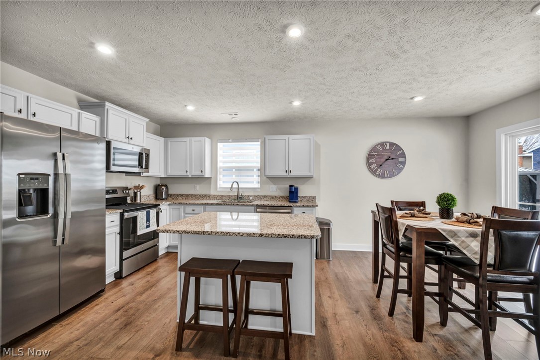 141 W Spring Drive Elyria OH 44035