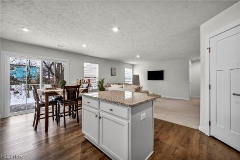 141 W Spring Drive Elyria OH 44035