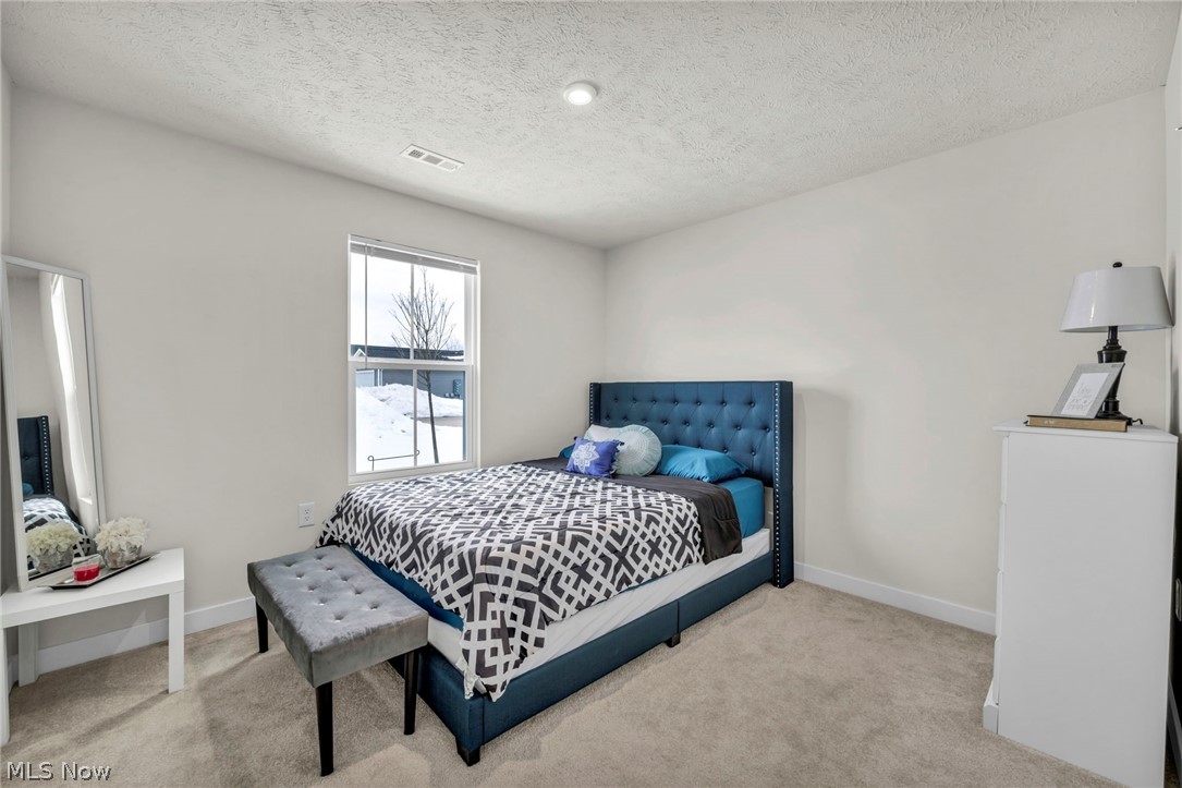 141 W Spring Drive Elyria OH 44035