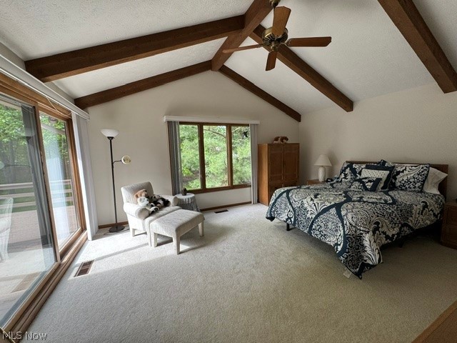 6319 Woodhawk Drive Mayfield Heights OH 44124