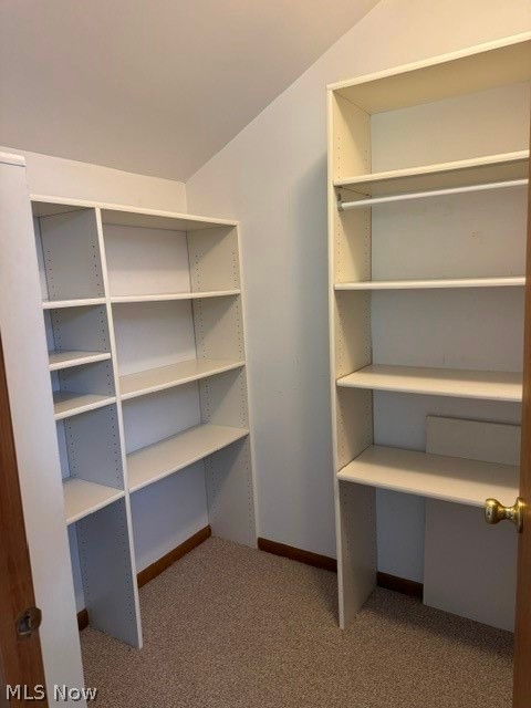 6319 Woodhawk Drive Mayfield Heights OH 44124