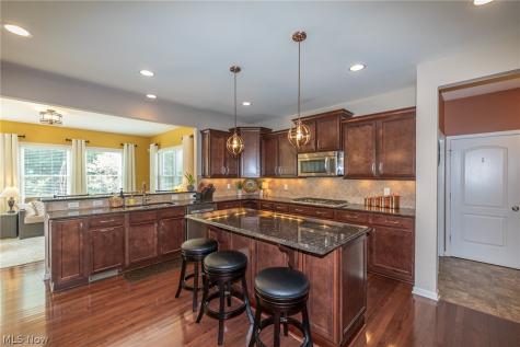 9660 Grand Oaks Trail Olmsted Twp OH 44138
