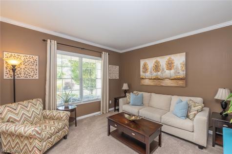 9660 Grand Oaks Trail Olmsted Twp OH 44138