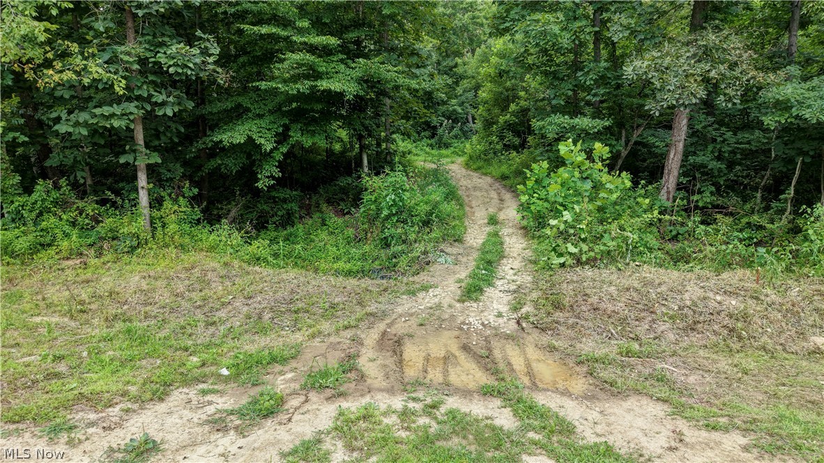 6168 SE Buckeye Hollow Road SE Uhrichsville OH 44683