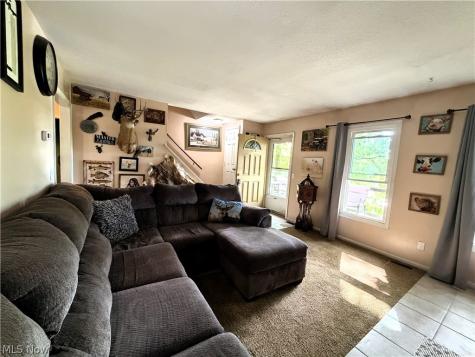 821 Lynnwood Drive Minerva OH 44657
