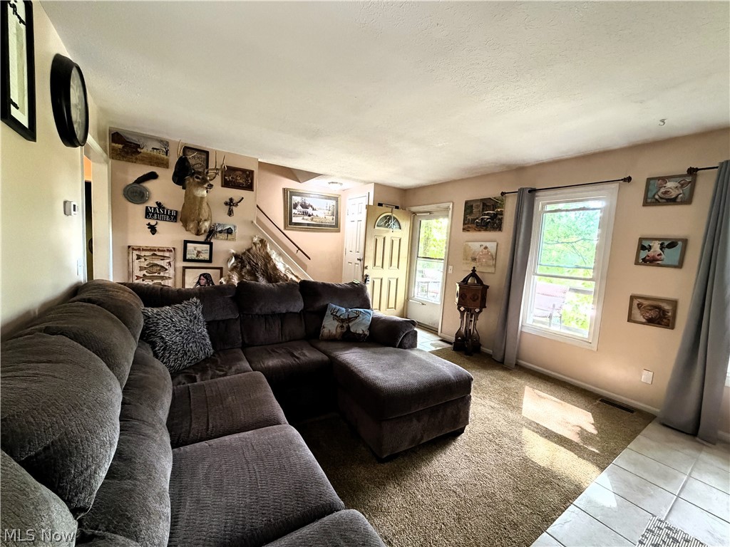 821 Lynnwood Drive Minerva OH 44657