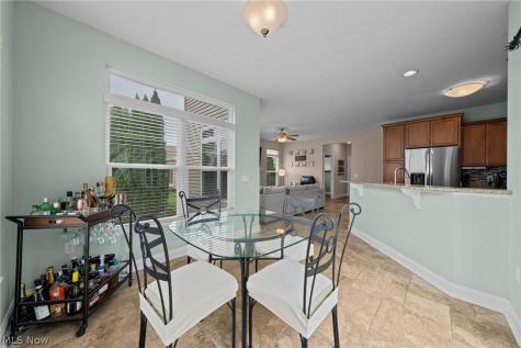 3528 Brook Court Avon OH 44011