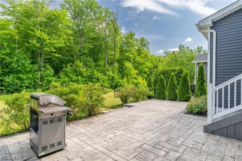 1720 Cobham Lane Wadsworth OH 44281