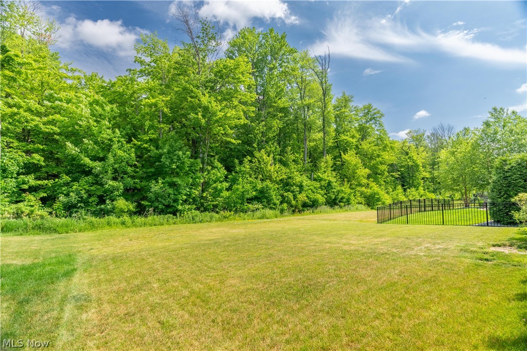 1720 Cobham Lane Wadsworth OH 44281