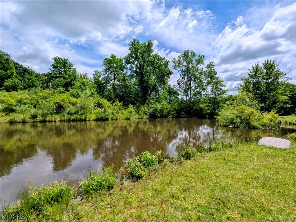 7394 Kniffen Road Leroy OH 44077