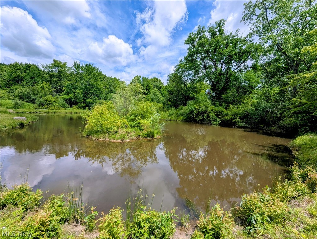 7394 Kniffen Road Leroy OH 44077