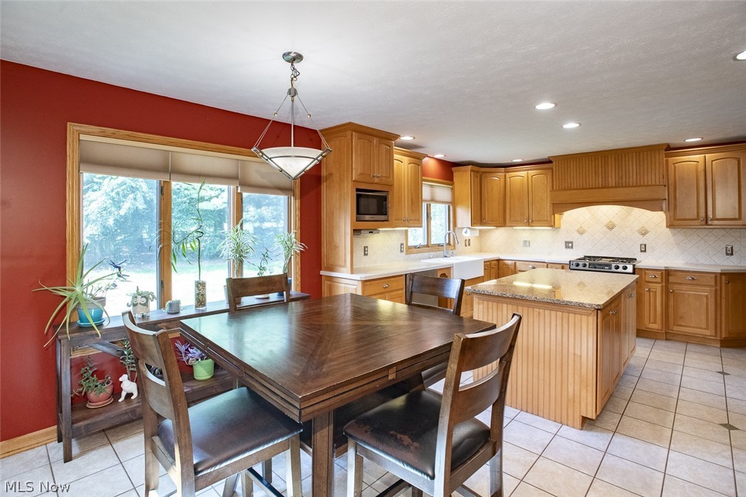 3815 W Sweet Briar Drive Medina OH 44256