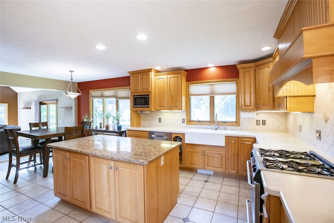 3815 W Sweet Briar Drive Medina OH 44256