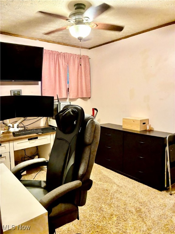 275 Walnut Washingtonville OH 44490