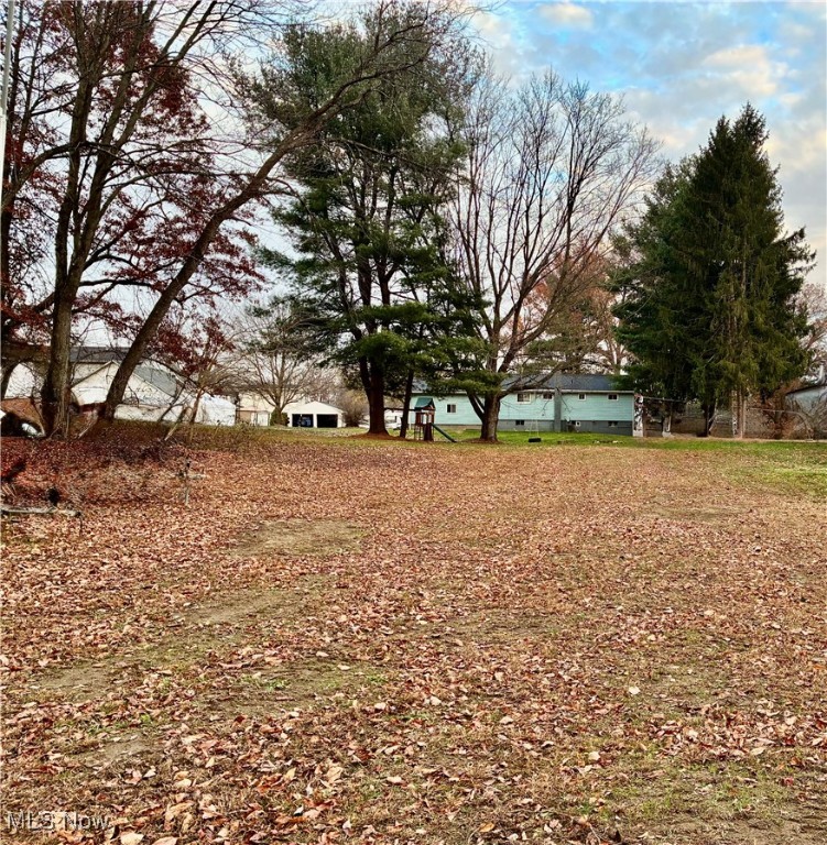 275 Walnut Washingtonville OH 44490