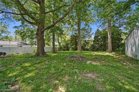 9505 Nita Lane Streetsboro OH 44241