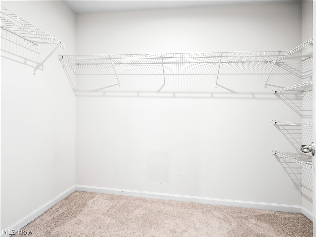 3243 Broadleaf Way Brunswick OH 44212