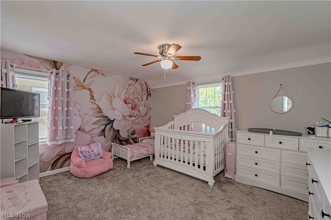1233 Brainard Road Lyndhurst OH 44124
