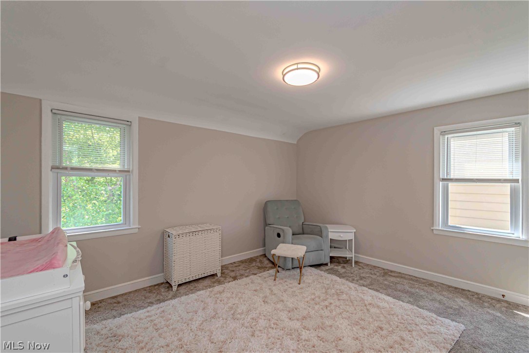 1233 Brainard Road Lyndhurst OH 44124