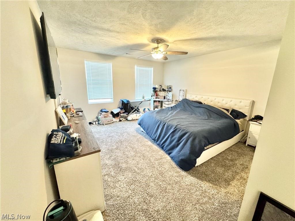 117 Fall Lake Lane Amherst OH 44001