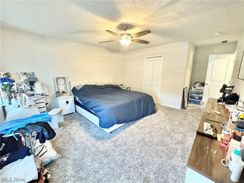 117 Fall Lake Lane Amherst OH 44001