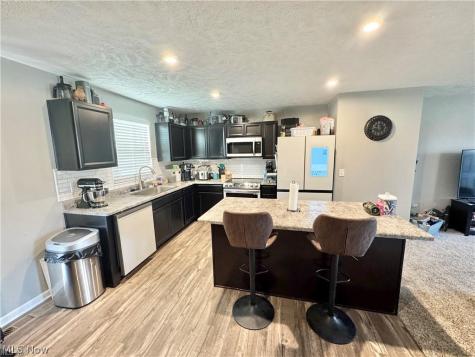 117 Fall Lake Lane Amherst OH 44001