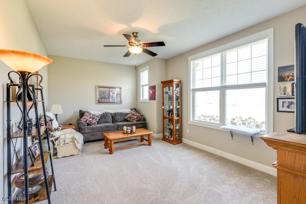 664 William Court Aurora OH 44202