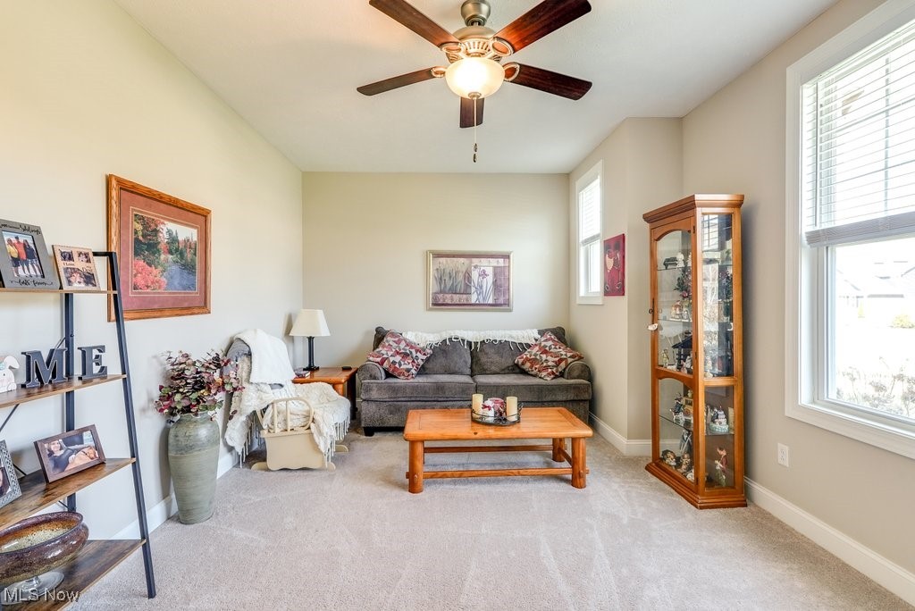 664 William Court Aurora OH 44202