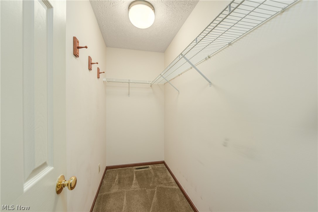 1016 Woodland Chase Grafton OH 44044