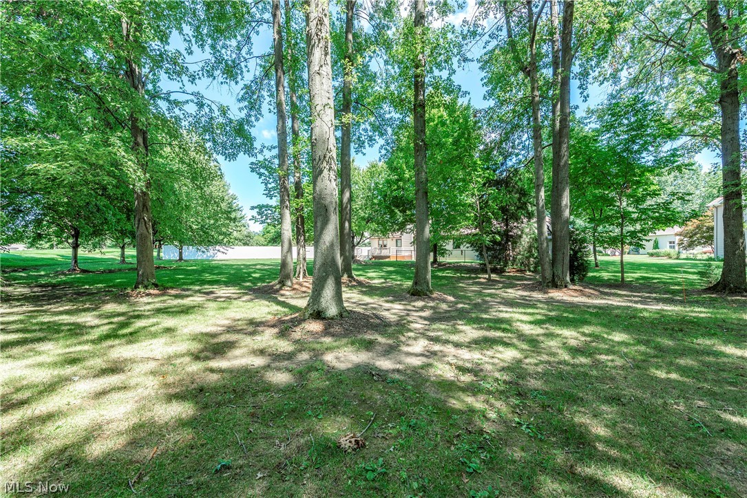 1016 Woodland Chase Grafton OH 44044