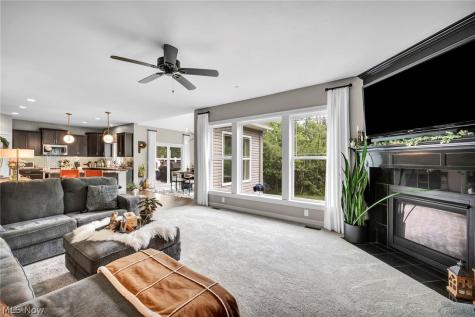 4079 Deer Lake Drive Medina OH 44256