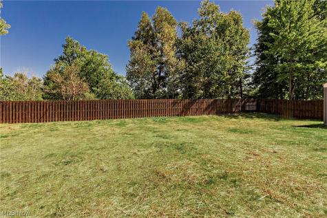 1441 Stanford Drive Brunswick OH 44212
