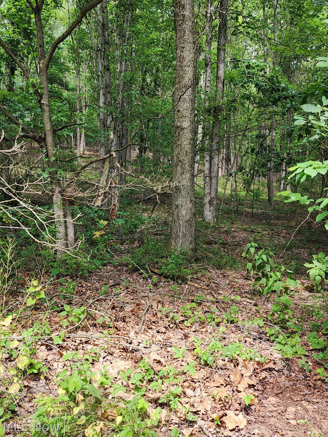 1220 Whispering Pines Lane SW Dellroy OH 44620