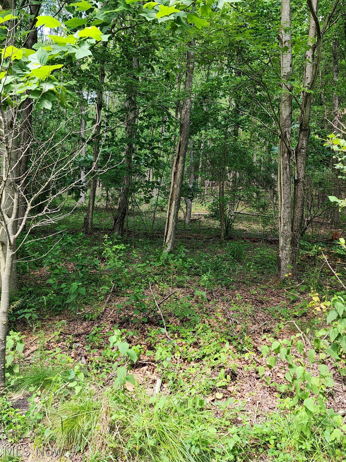 1220 Whispering Pines Lane SW Dellroy OH 44620