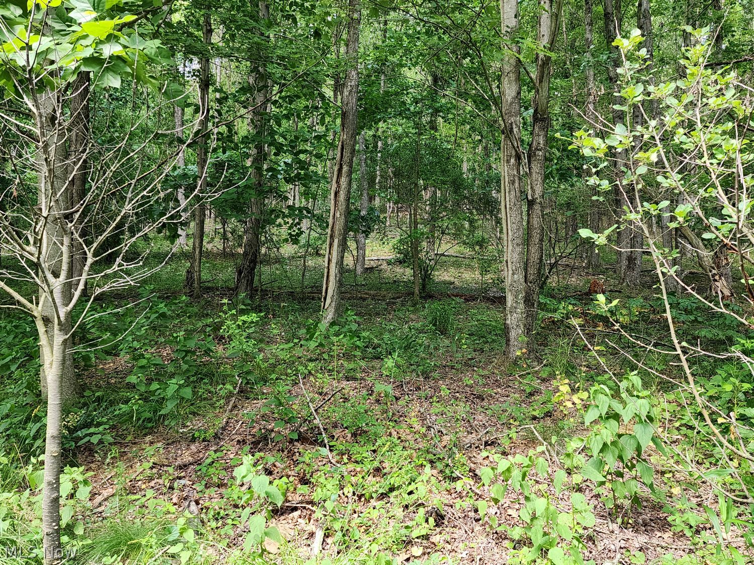 1220 Whispering Pines Lane SW Dellroy OH 44620