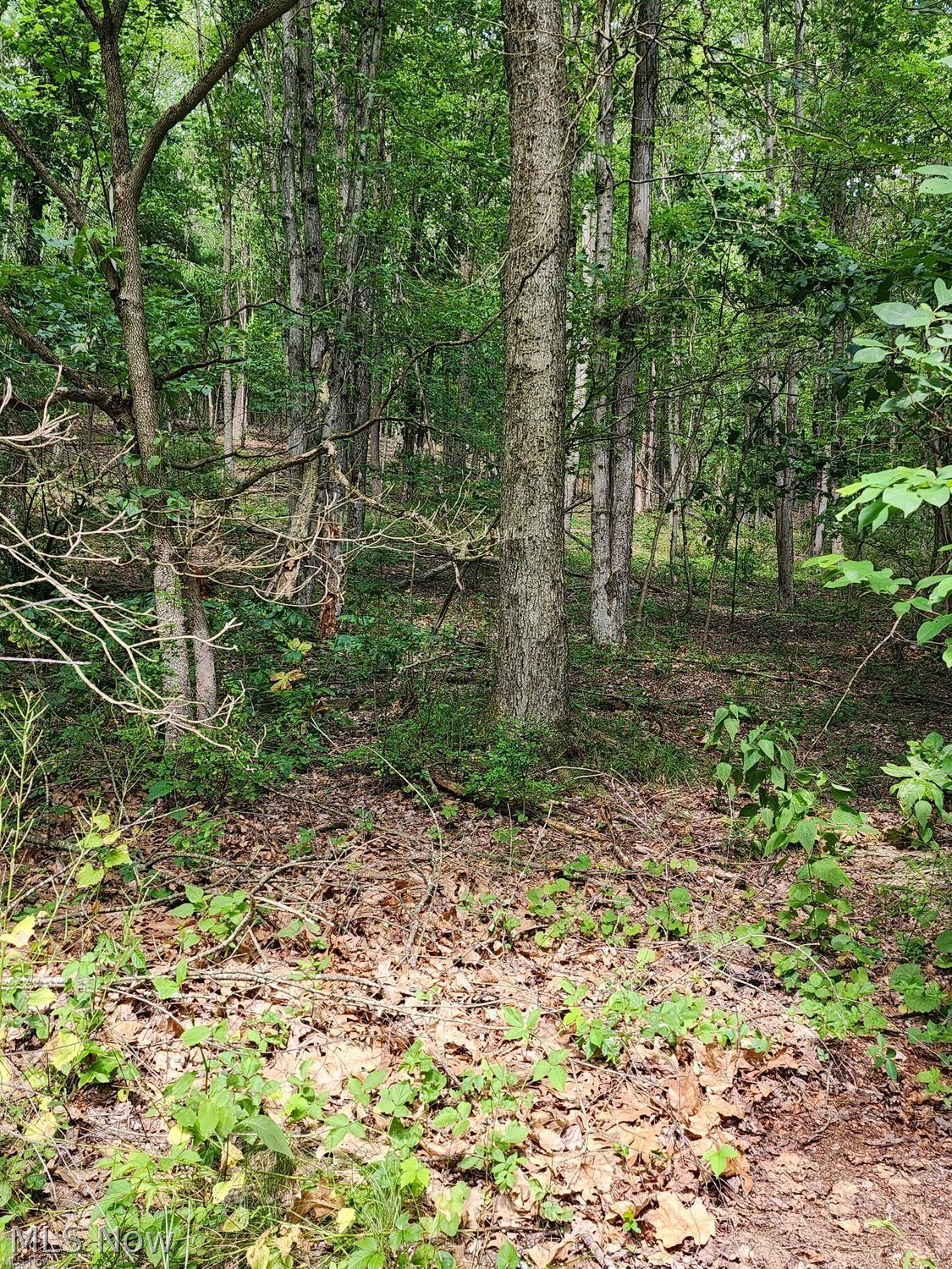 1220 Whispering Pines Lane SW Dellroy OH 44620
