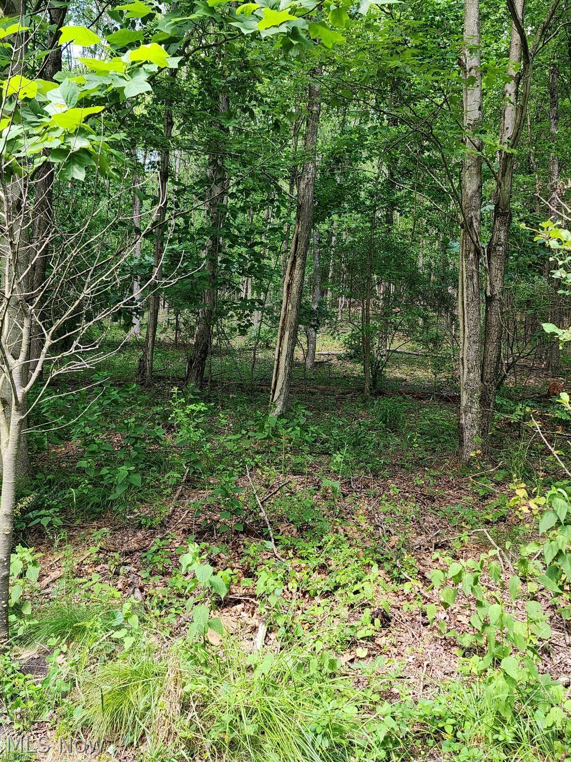1220 Whispering Pines Lane SW Dellroy OH 44620