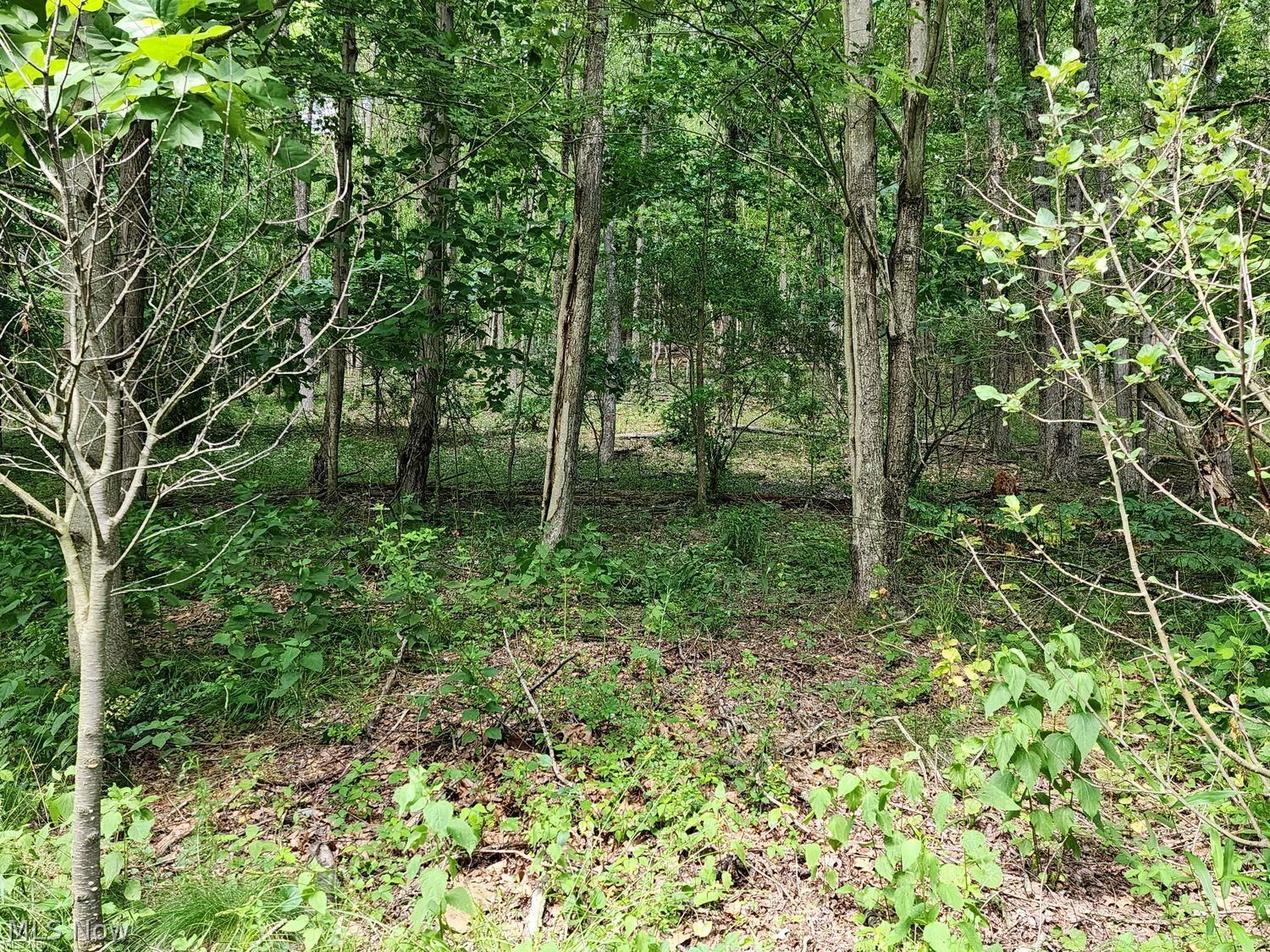 1220 Whispering Pines Lane SW Dellroy OH 44620